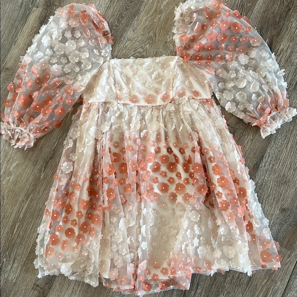 Vestiqúe Fairycore Romantic Sheer 3D Floral Babydoll Dress Puff Sleeves.​​